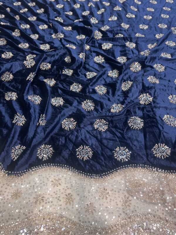 Sequins & Cutdana on Velvet Fabric with heavy work Net Daman
