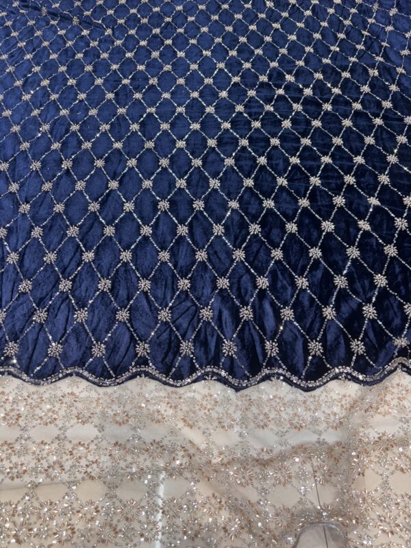 Sequins & Cutdana on Velvet Fabric with heavy work Net Daman