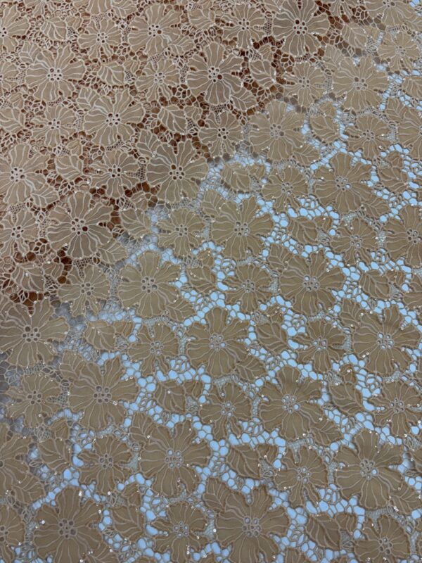 IMG_1813-1 Floral cutwork Fabric with sequins work allover