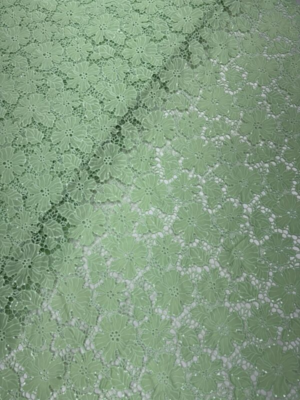 IMG_1823-1 Floral cutwork Fabric with sequins work allover