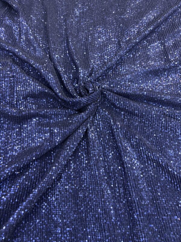 All over sequins on Net Fabric