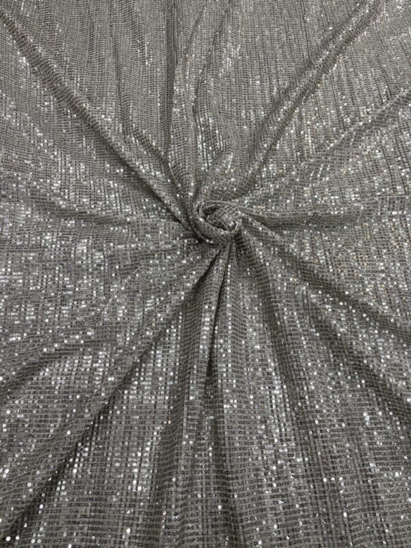 All over sequins on Net Fabric