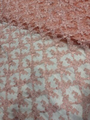 IMG_8218 Embroidered checks pattern on Net Fabric