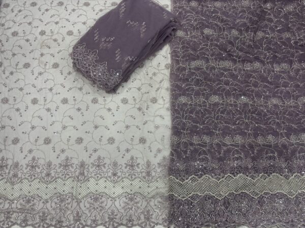 IMG_8624 Sequins & cutdana with Jali border on Net Fabric