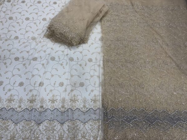 IMG_8632-1 Sequins & cutdana with Jali border on Net Fabric