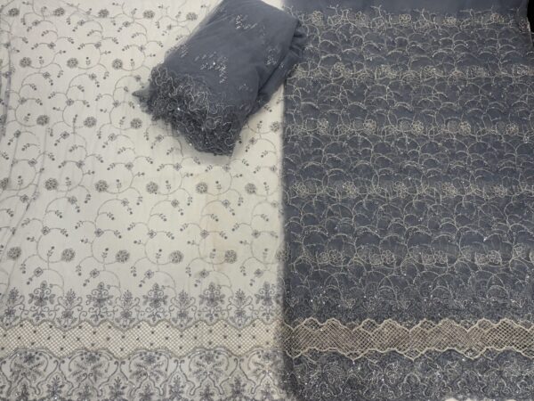 IMG_8638-1 Sequins & cutdana with Jali border on Net Fabric