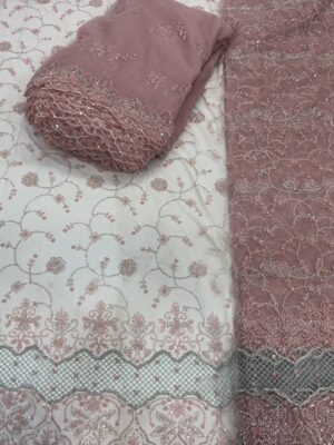 Sequins & cutdana with Jali border on Net Fabric