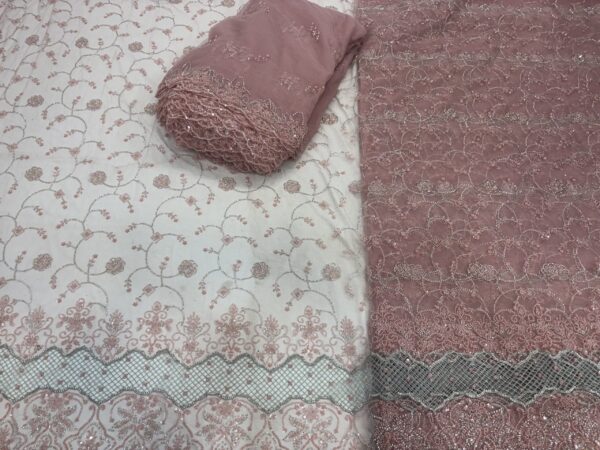 IMG_8645-1 Sequins & cutdana with Jali border on Net Fabric