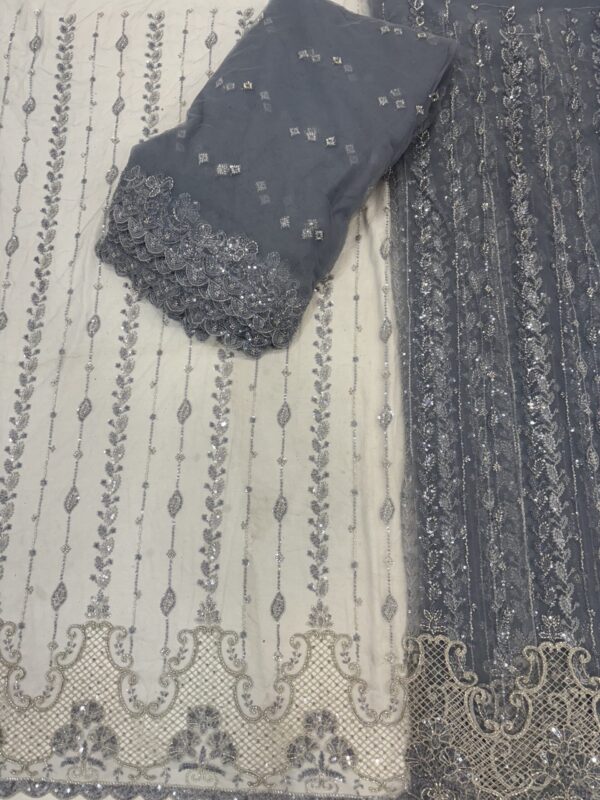 Sequins & cutdana with Jali border on Net Fabric