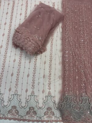 Sequins & cutdana with Jali border on Net Fabric