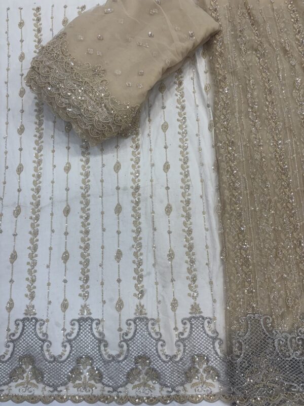 Sequins & cutdana with Jali border on Net Fabric