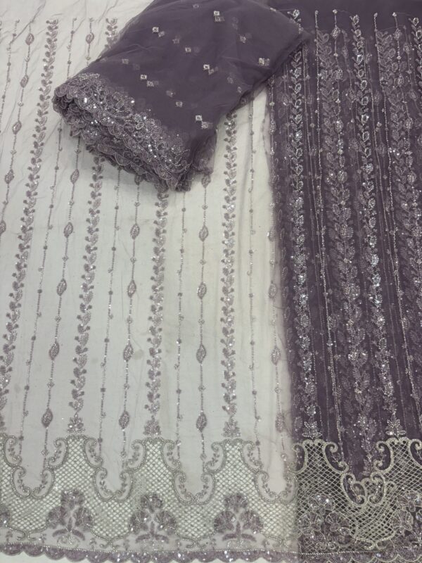 Sequins & cutdana with Jali border on Net Fabric