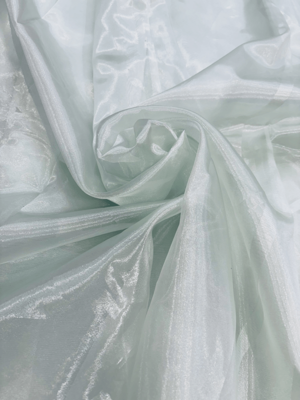 Plain Organza