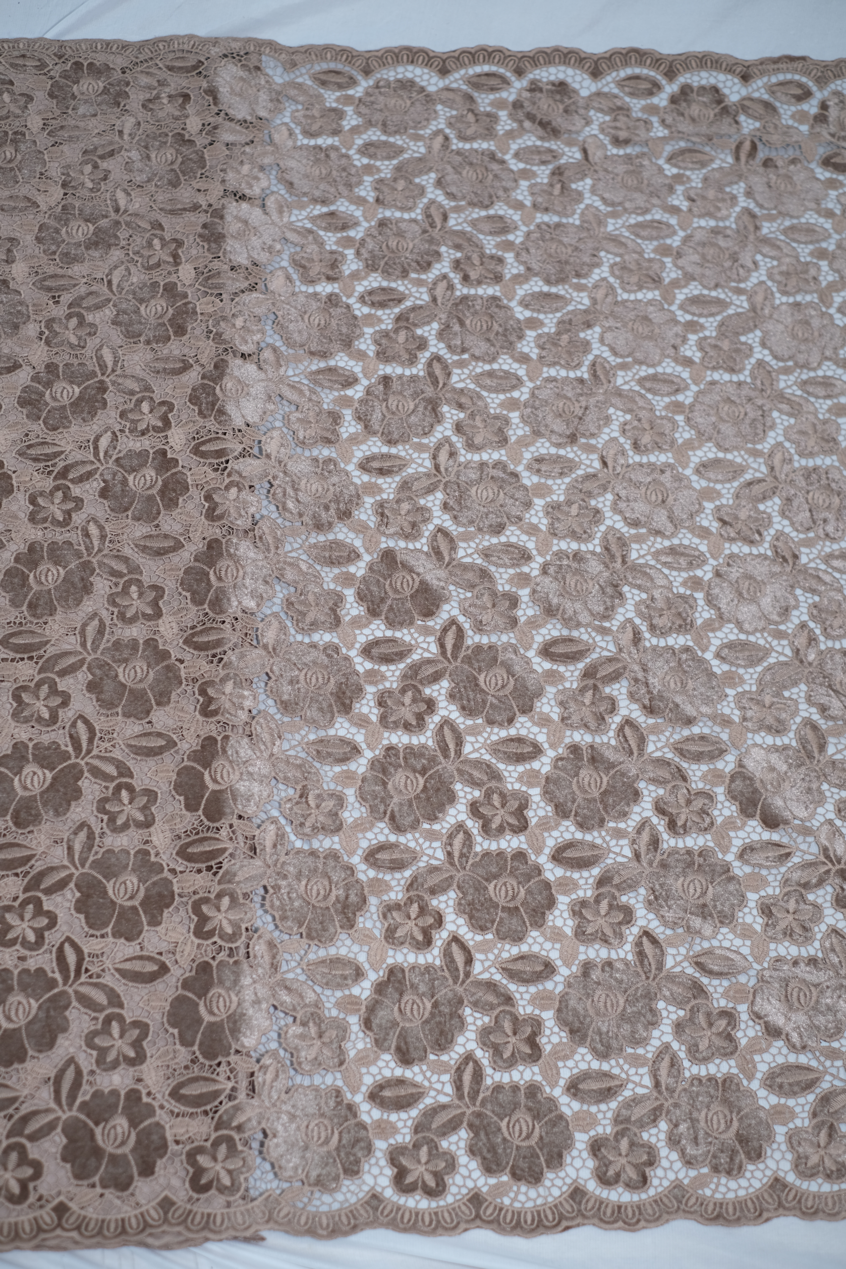 Velvet cutwork Fabric