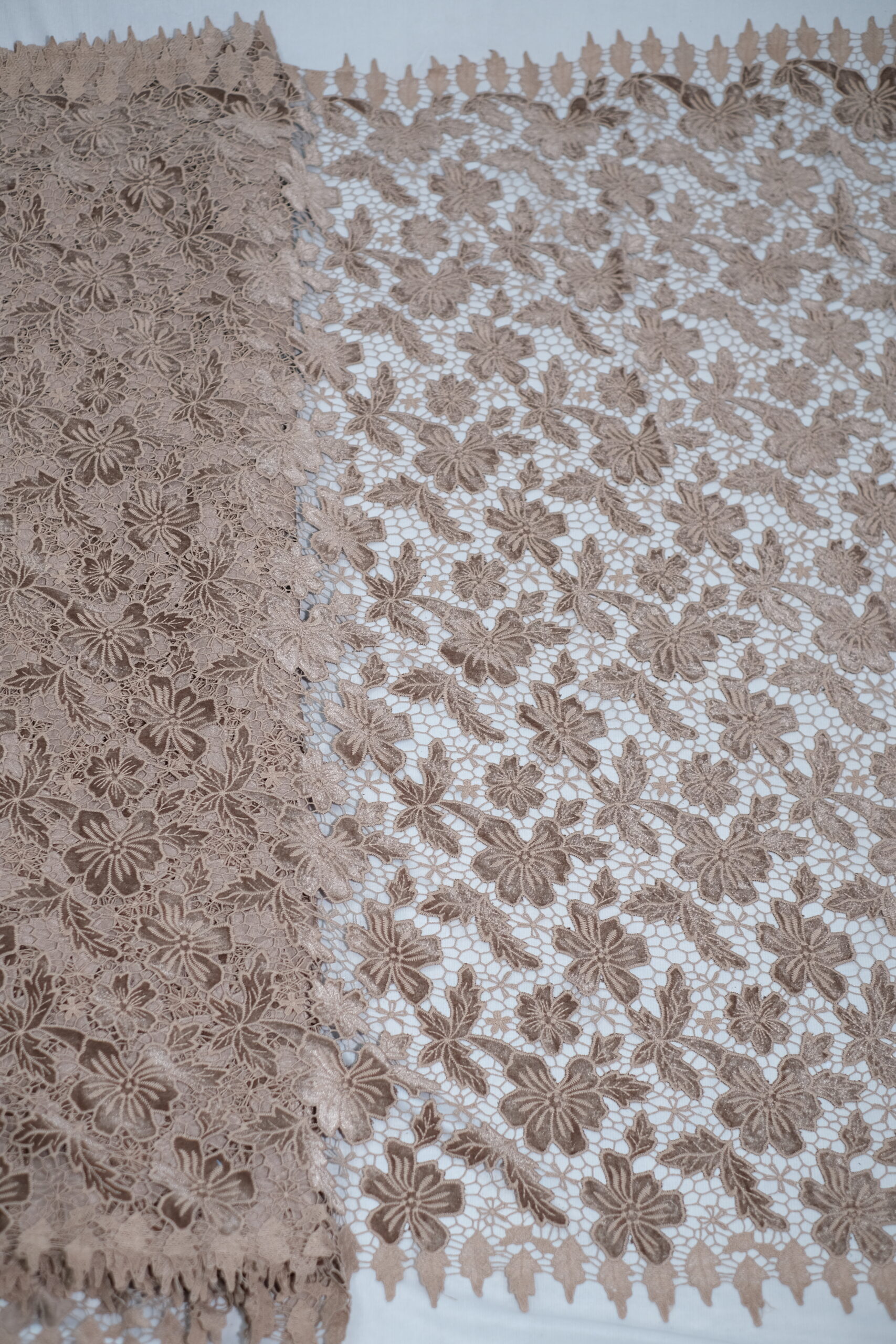 Velvet cutwork Fabric